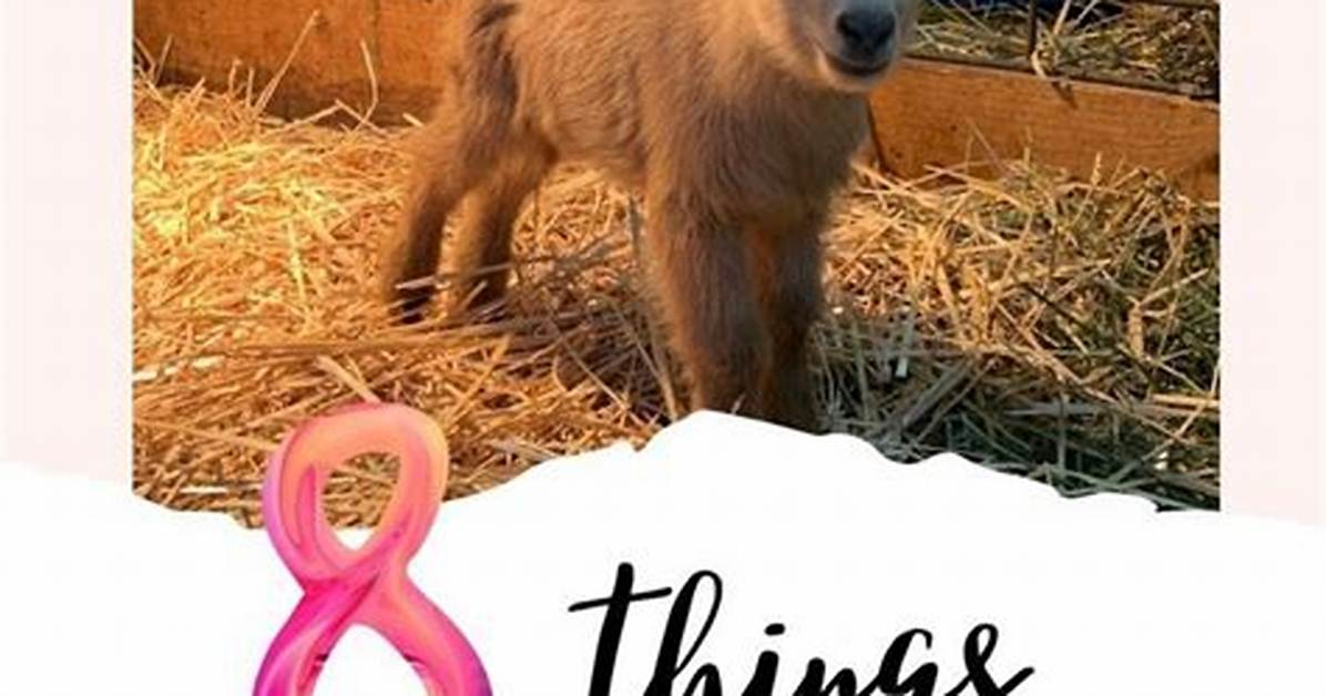 8 Things You Need to Know About Alana Cook
