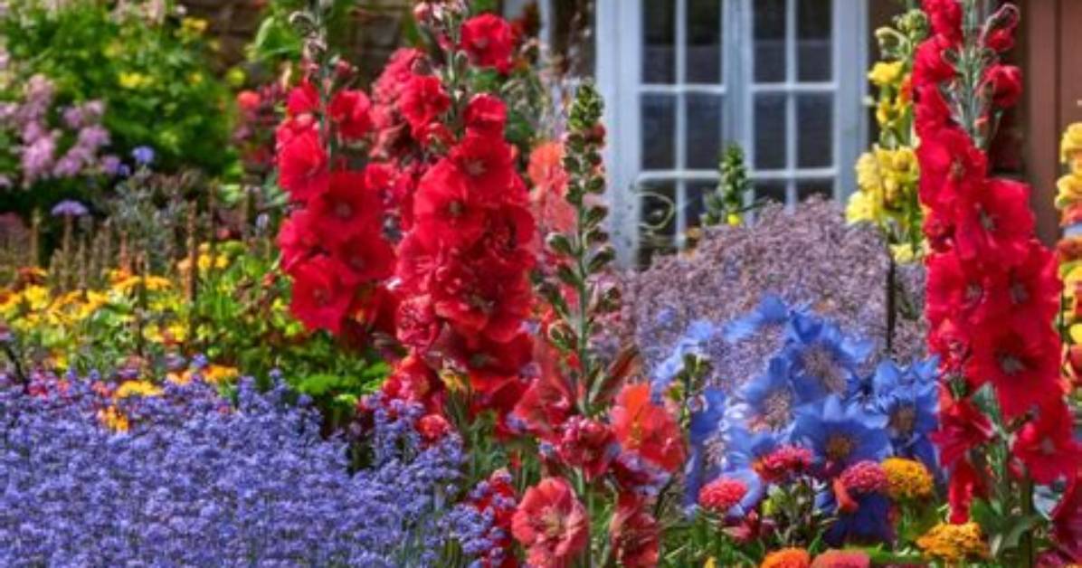 A Cascade of Colors for Your Garden