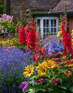 A Cascade of Colors for Your Garden