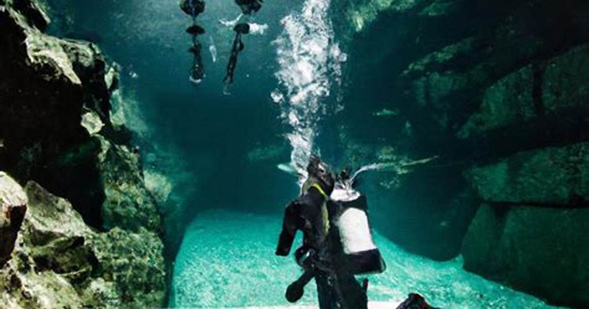 A Deep Dive for Andi13 Enthusiasts