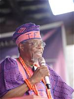 Adeleke Adedeji: a Journey Through Life and Achievements