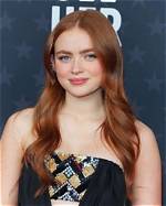 Alluring Red-Haired Actresses: Captivating the Hearts of Audiences