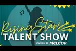 Artisanal Talent and Rising Stars