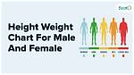 Beyond Height, Weight, and Personal Details