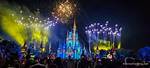 Celebrate the Magic: Micky Day Extravaganza