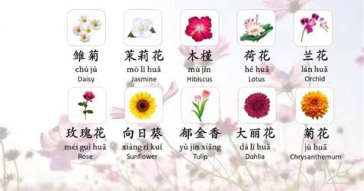 Chinese Flowers: Beauty and Significance in Chinese Culture
