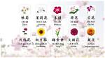 Chinese Flowers: Beauty and Significance in Chinese Culture