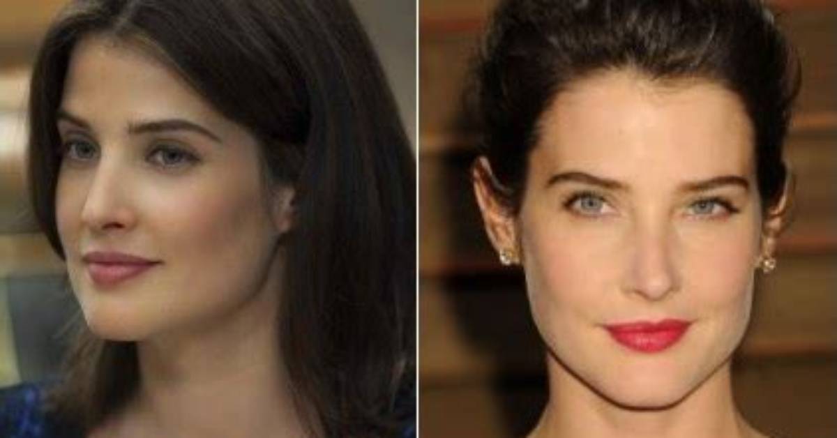 Cobie Smulders' Nose Job: Before and After Photos and Story