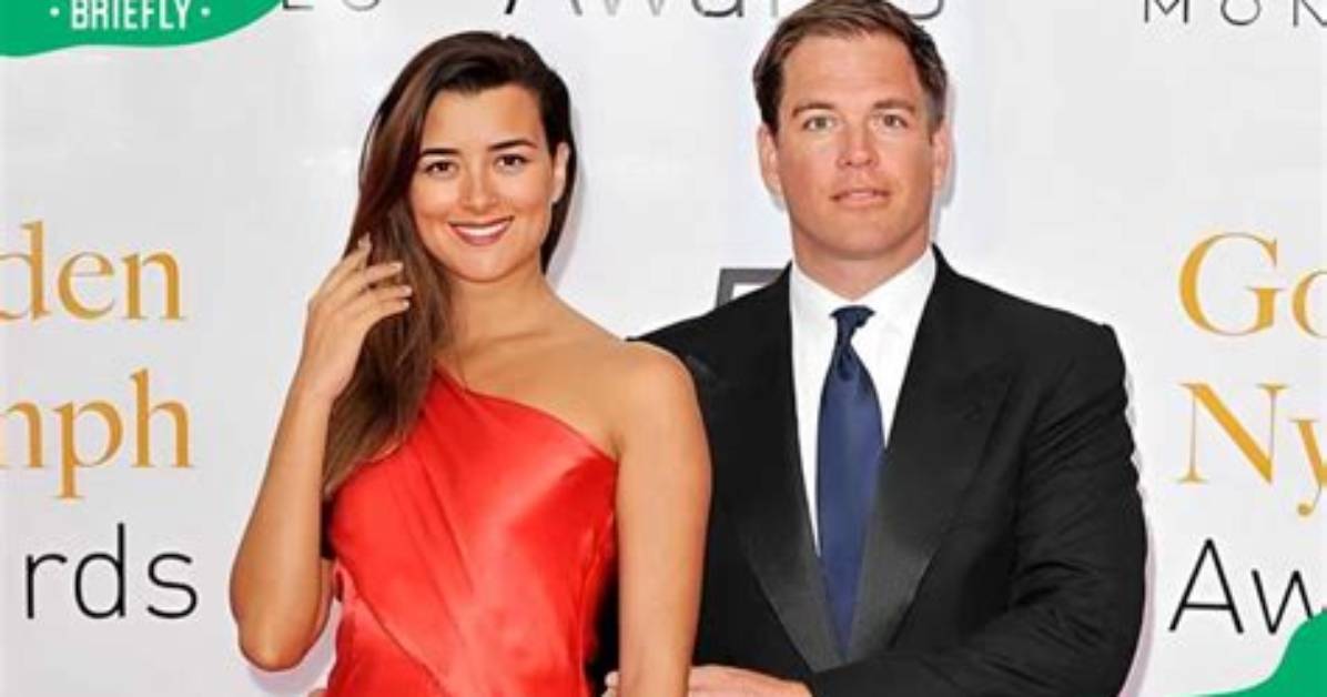 Cote De Pablo Married: the Truth Behind Her Personal Life