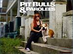 Darius from Pitbulls and Parolees Stopped Working for the Pitbulls and Here Is Why