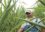 David Brandt Accident, Farmer’s Death News Age and Family |
