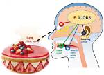 Decoding the Flavor: What Does a Burger and a Grape Snow Cone Mean?