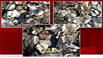 Delphi Murders Leaked Texts Revealed the Evidence Behind Death ·
