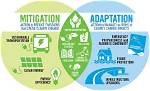 Discover the Impact and Mitigation of Havoc Net Worth