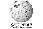 Discoveries and Insights from the Wikipedia Article