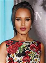 Discoveries and Insights into Kerry Washington's Husband