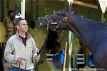 Discovering Chad Brown: the Horse Trainer and His Children