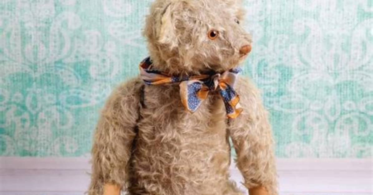 Discovering Everly Bear: the Adorable Journey of a Social Media Sensation