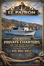 Discovering the Allure of El Patron Videos Original