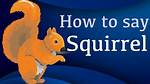 Discovering the British Pronunciation of Squirrel