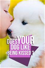 Do Dogs Like Being Kissed? Understanding Canine Affection