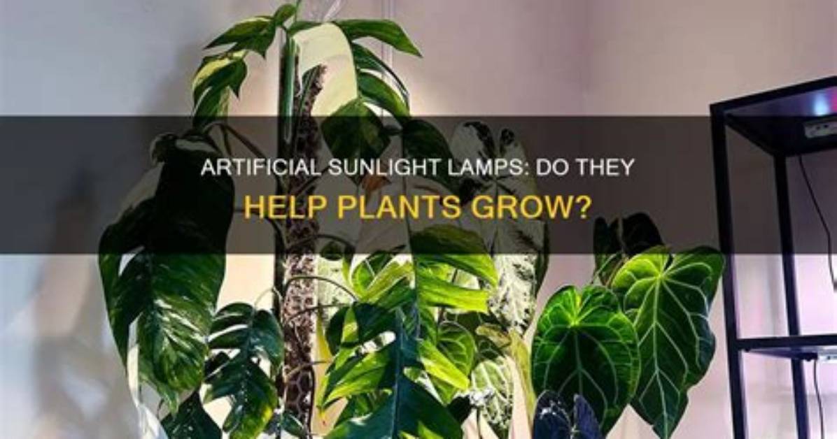 Do Sunlight Lamps Work for Plants? |