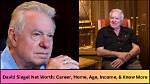 Exploring David Siegel's Net Worth and Age