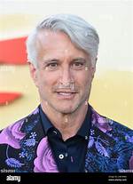 Exploring the Fascinating World of Bronson Pinchot Relationships