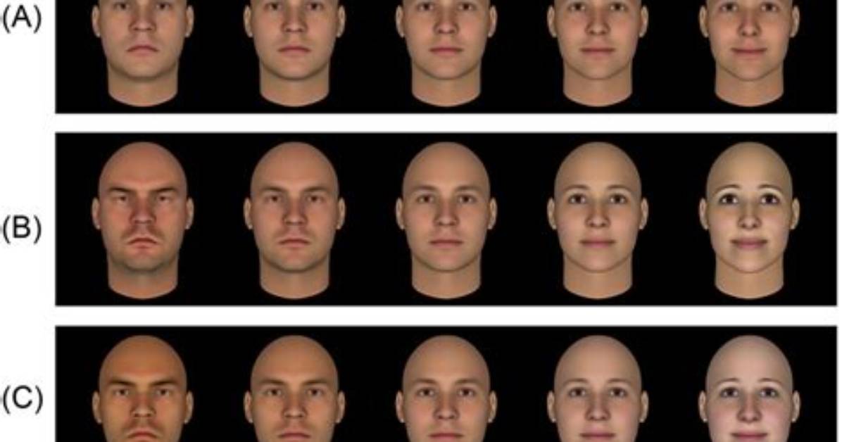 Exploring the Fascination of Face Evaluation with Prettyscale. Com