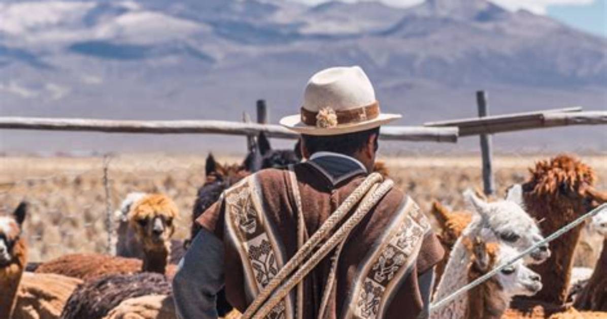 Exploring the Heartfelt Melodies of Lamento Bolivia