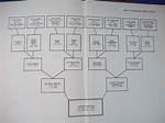 Exploring the Robert Lewandowski Family Tree: a Deep Dive into His Heritage