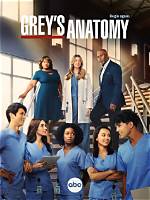 Exploring the Seasons of Grey's Anatomy: a Comprehensive Guide