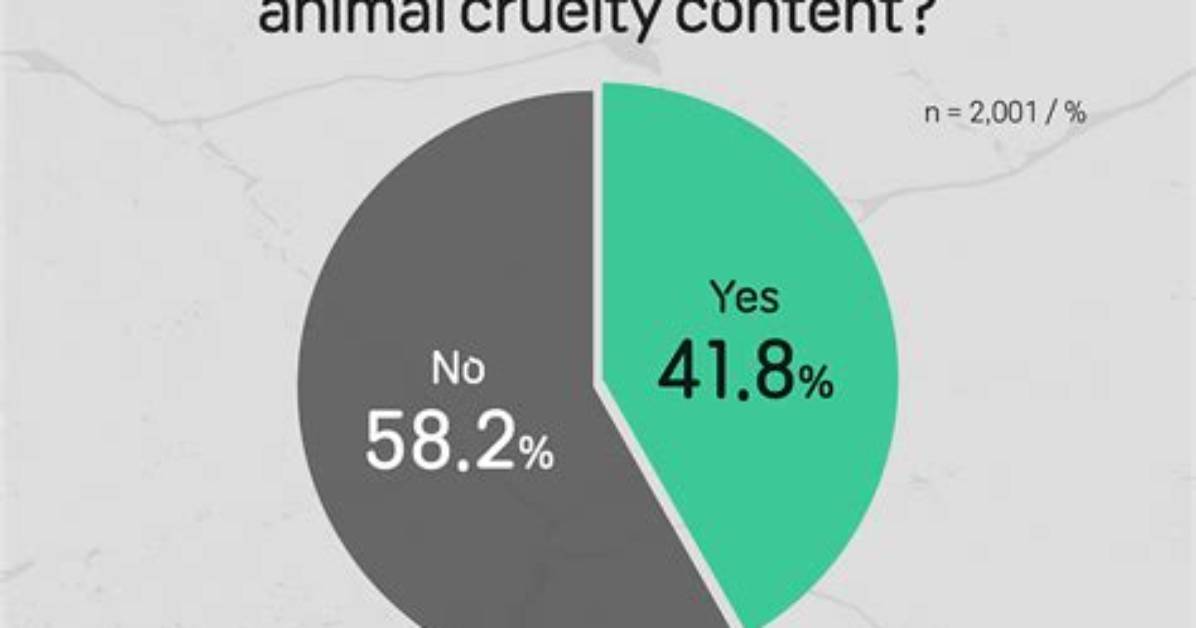 Exposing Animal Cruelty and Online Harassment