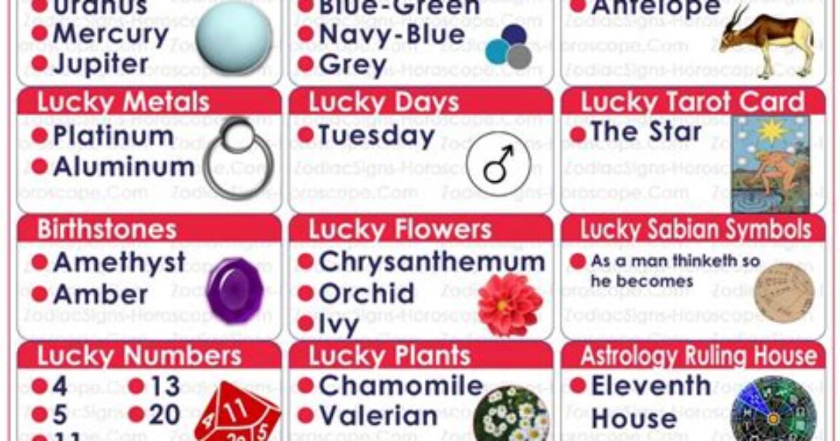 February 3 Zodiac Horoscope Birthday Personality ·