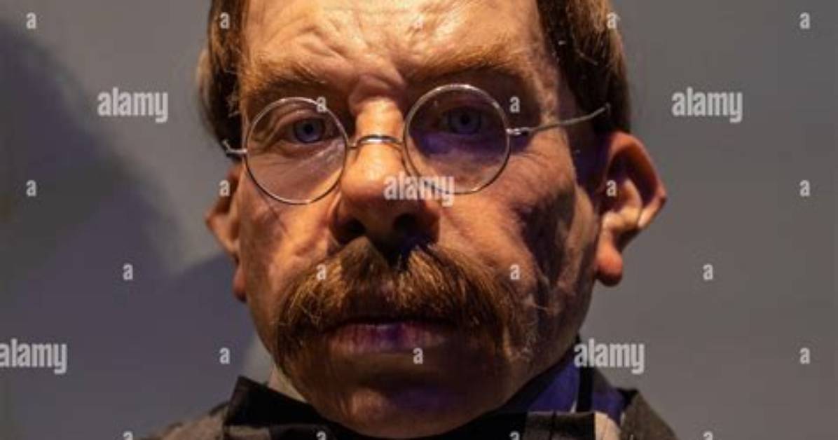 Filius Flitwick Actor: the Life and Career of Warwick Davis