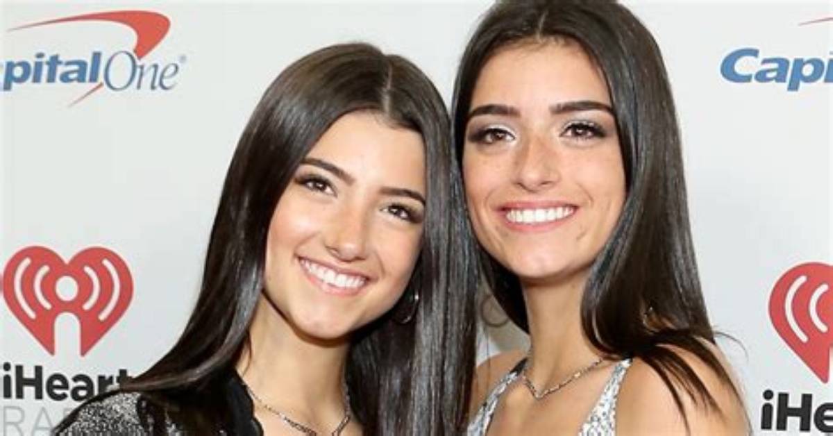 Here Is Why Dixie Damelio Unfollowed Everyone on Twitter ·