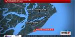Hilton Head Shark Bite: Everything You Need to Know