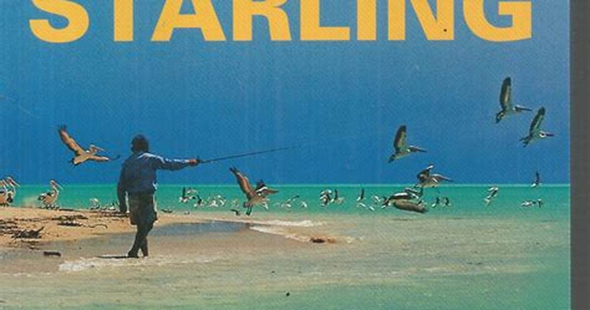 Hooked on Adventure: the Life of a Fishing Babe
