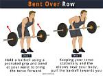 How to Do the Bent-over Row for Massive Back and Bicep Gains