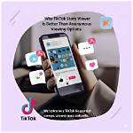 How to Use Tiktok Story Anonymous Viewer