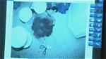 Inside the Joel Guy Jr. Crime Scene Photos