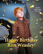 Insights and Discoveries Beyond Ron Weasley