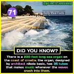 Interesting Facts That You Should Know |