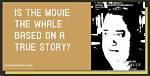 Is the Whale Based on a True Story