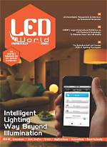 Lighting the Way: the Fascinating World of Bald Head Light