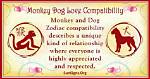 Monkey and Dog Compatibility: Lively Attraction