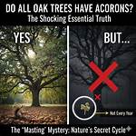 Not All Trees Are Your Friends