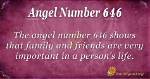 Picodash | Angel Number 646