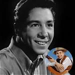 Remembering Johnny Crawford: a Legacy of Talent and Charm