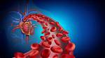 Ristela Enhances the Blood Flow to the Genital Area.